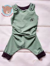 Load image into Gallery viewer, House Plants Overall Romper- 12m-3T