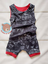 Load image into Gallery viewer, Farmyard Envelope Back Shortalls- 12m-3T